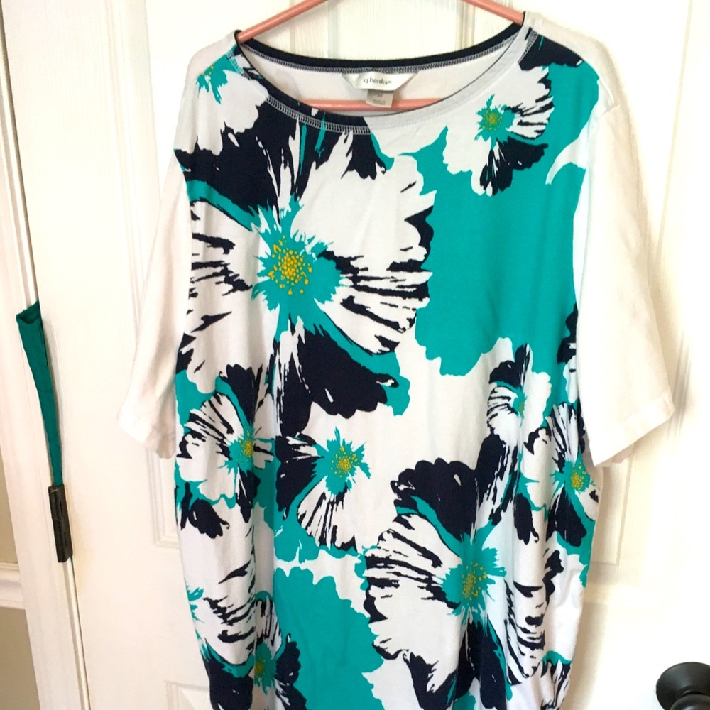 Short sleeve top from C J Banks, 2x